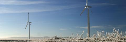 Windräder im Winter (Bildquelle: Sven Steinbruck / PantherMedia)