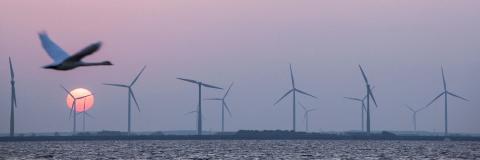 Vogel vor Windrädern © PantherMedia ahavelaar