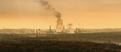 Chemieunternehmen in Waldlandschaft im Landkreis Altötting (Bildquelle: Dirschl – stock.adobe.com)